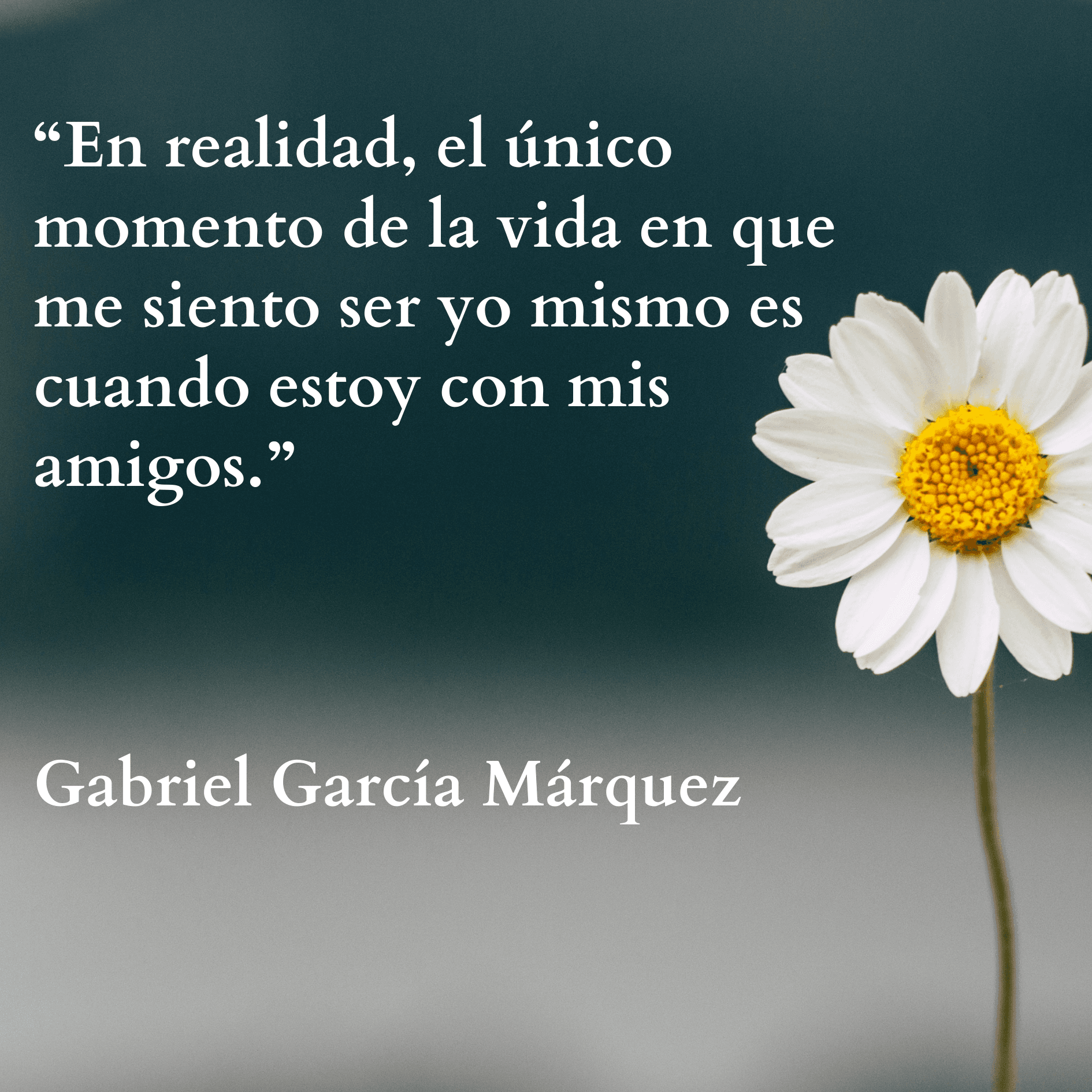 Bienvenido al blog de Pistacho App