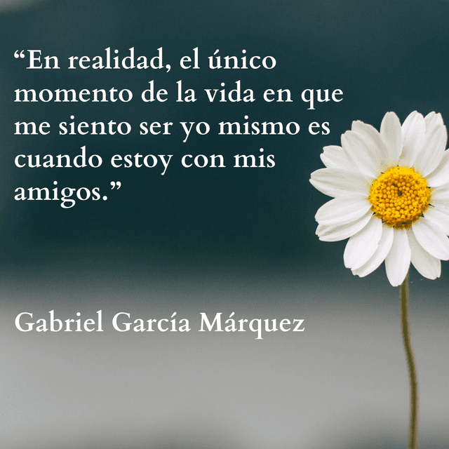 Bienvenido al blog de Pistacho App